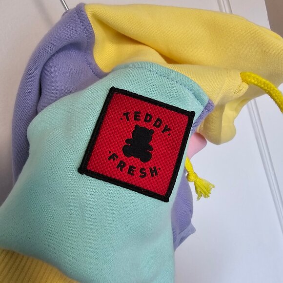 Teddy Fresh Pet Hoodie Pastel Colorblock - Size XL - 2021 2nd Edition - Picture 3 of 10